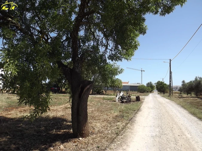 Terreno para Venda em Conceição e Cabanas de Tavira Foto 43