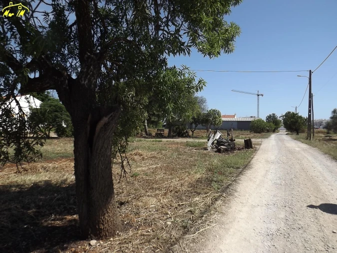Terreno para Venda em Conceição e Cabanas de Tavira Foto 44