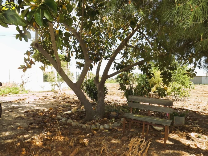 Terreno para Venda em Conceição e Cabanas de Tavira Foto 45