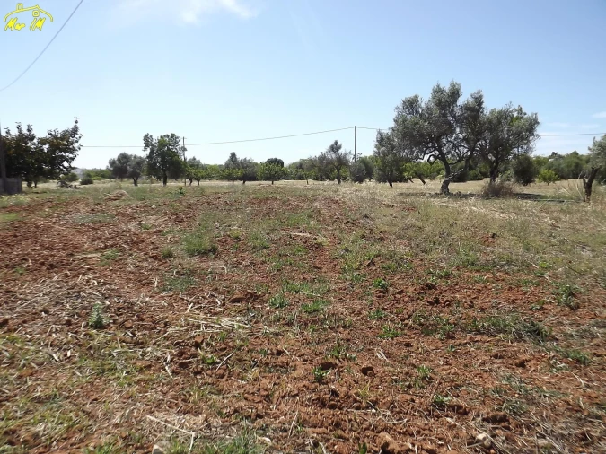Terreno para Venda em Conceição e Cabanas de Tavira Foto 8