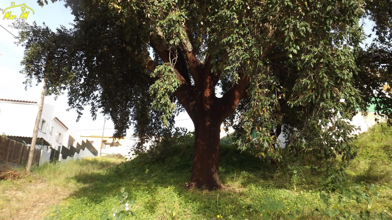 Terreno para Venda em Castro Marim Foto 12