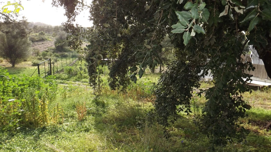 Terreno para Venda em Castro Marim Foto 11