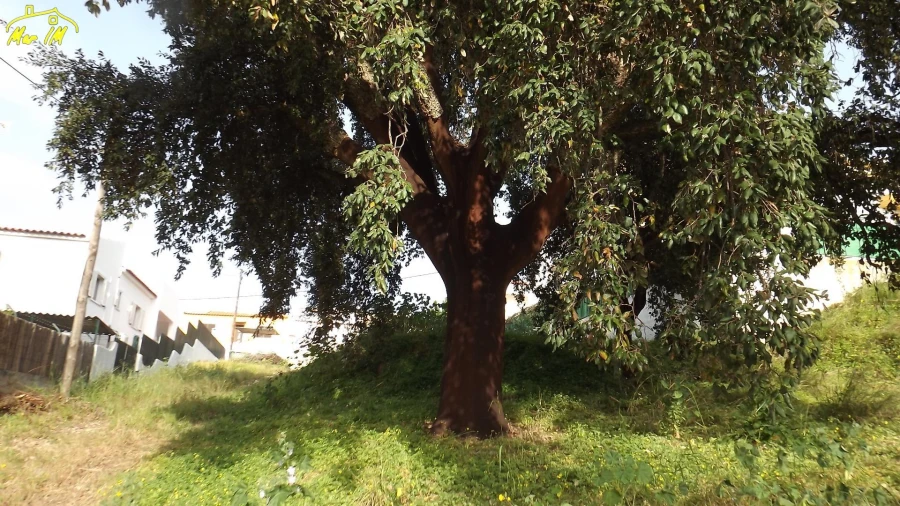 Terreno para Venda em Castro Marim Foto 12