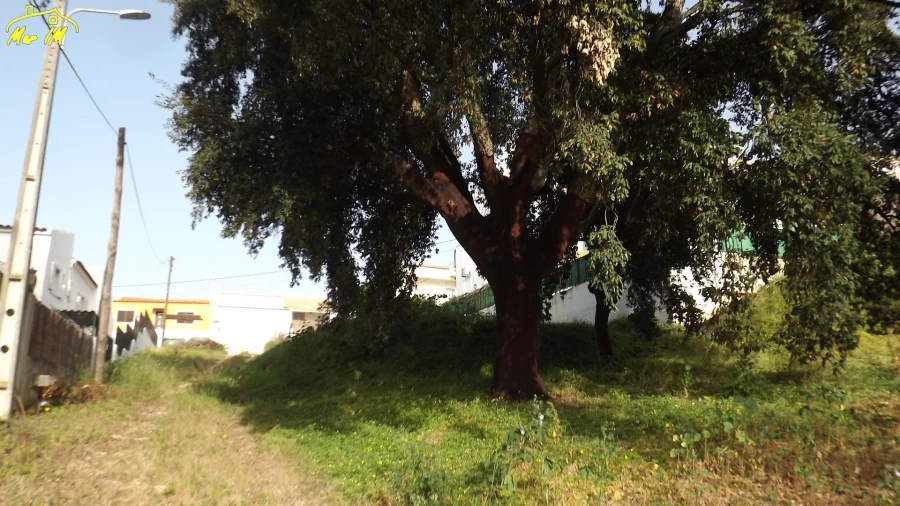 Terreno para Venda em Castro Marim Foto 9