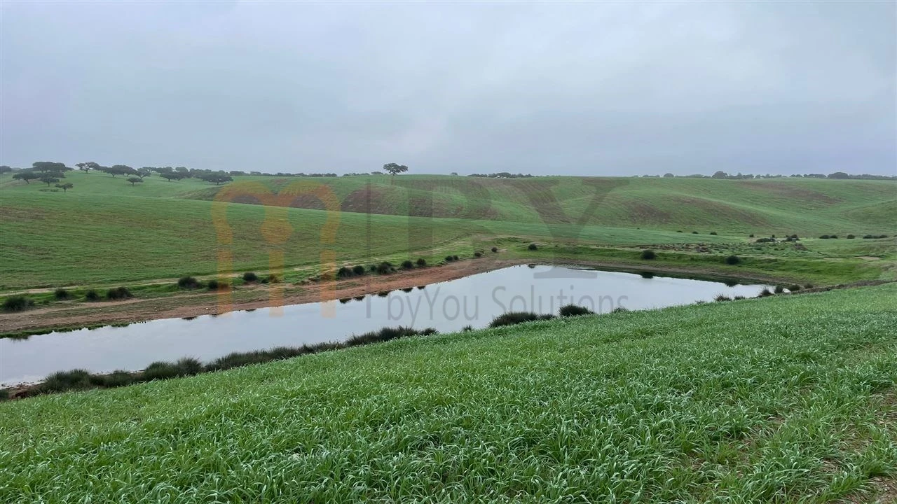 Quinta para Venda em Beja (Santiago Maior e São João Baptista) Foto 2