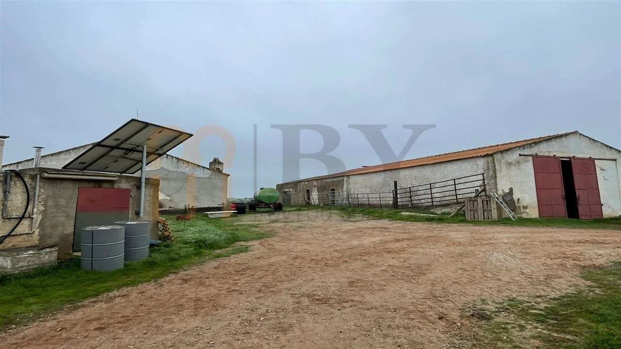 Quinta para Venda em Beja (Santiago Maior e São João Baptista) Foto 7