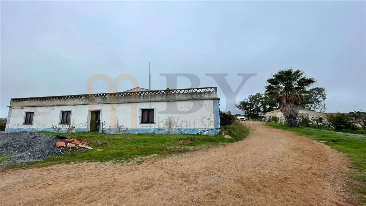 Quinta para Venda em Beja (Santiago Maior e São João Baptista) Foto 9