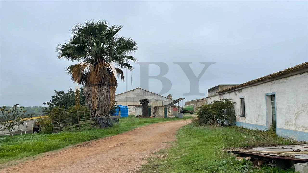 Quinta para Venda em Beja (Santiago Maior e São João Baptista) Foto 10