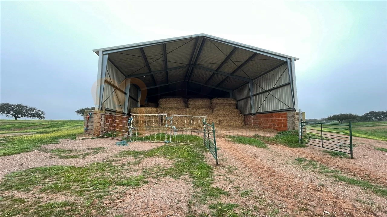 Quinta para Venda em Beja (Santiago Maior e São João Baptista) Foto 15