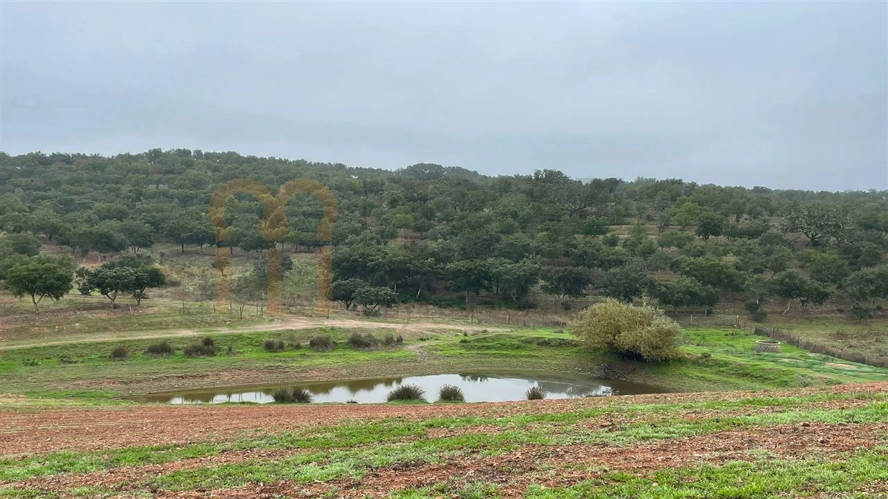 Quinta para Venda em Beja (Santiago Maior e São João Baptista) Foto 17