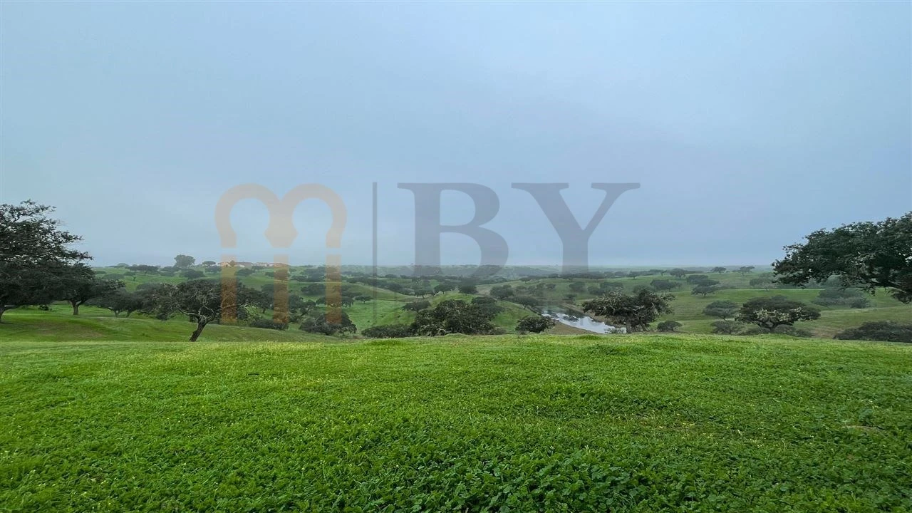 Quinta para Venda em Beja (Santiago Maior e São João Baptista) Foto 22