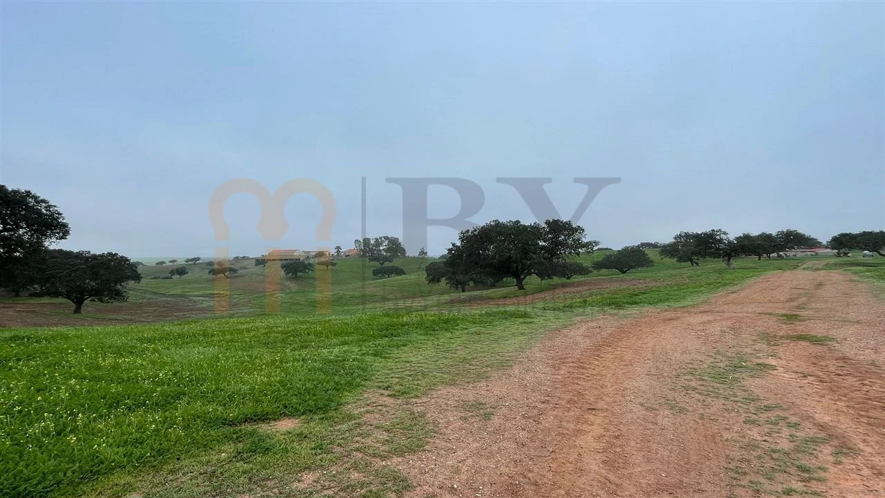 Quinta para Venda em Beja (Santiago Maior e São João Baptista) Foto 24