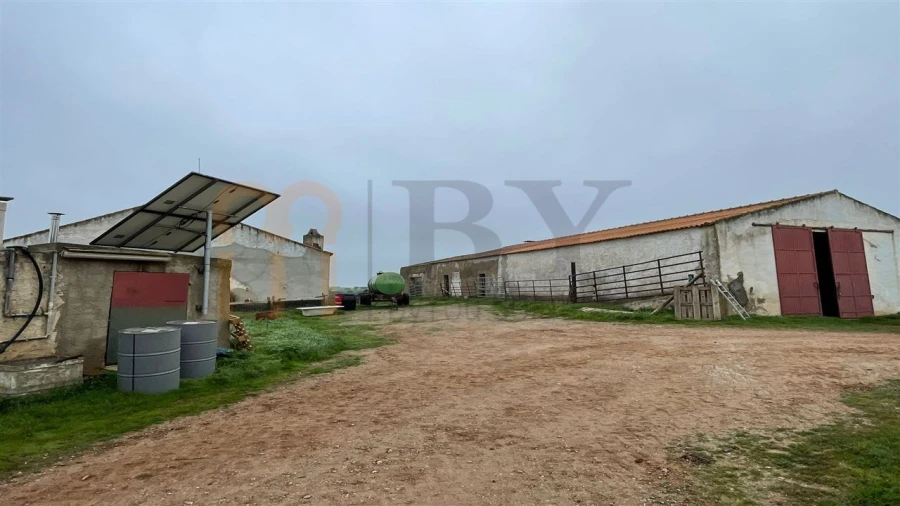 Quinta para Venda em Beja (Santiago Maior e São João Baptista) Foto 7
