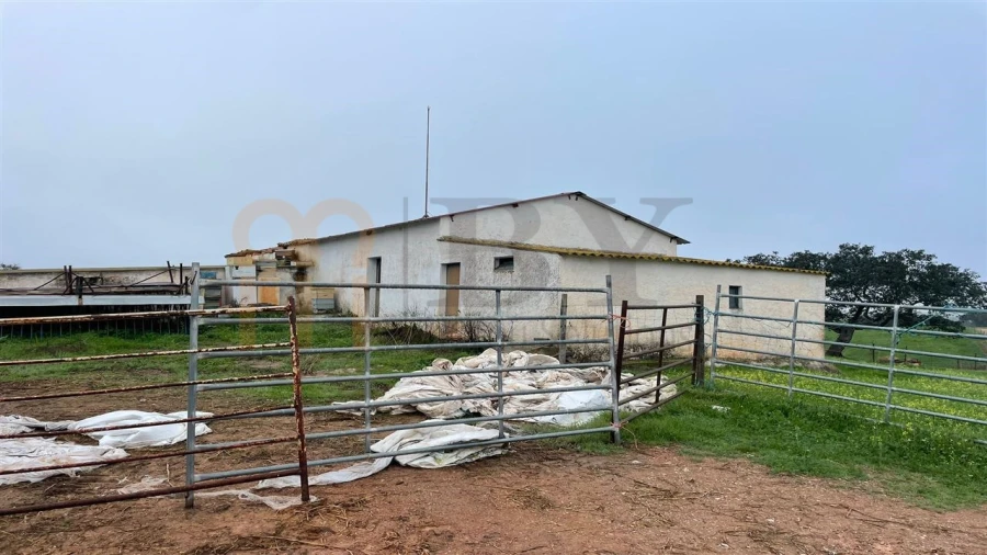 Quinta para Venda em Beja (Santiago Maior e São João Baptista) Foto 12
