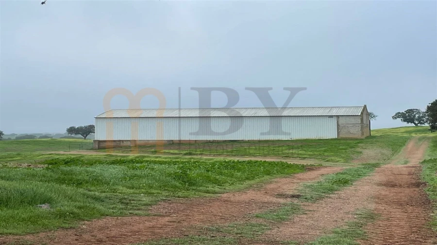 Quinta para Venda em Beja (Santiago Maior e São João Baptista) Foto 13