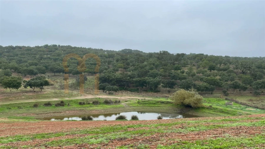 Quinta para Venda em Beja (Santiago Maior e São João Baptista) Foto 17