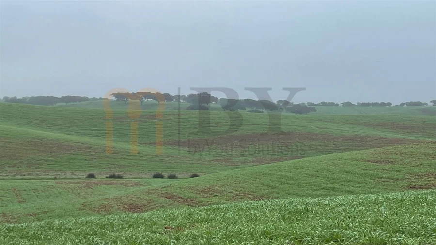 Quinta para Venda em Beja (Santiago Maior e São João Baptista) Foto 23