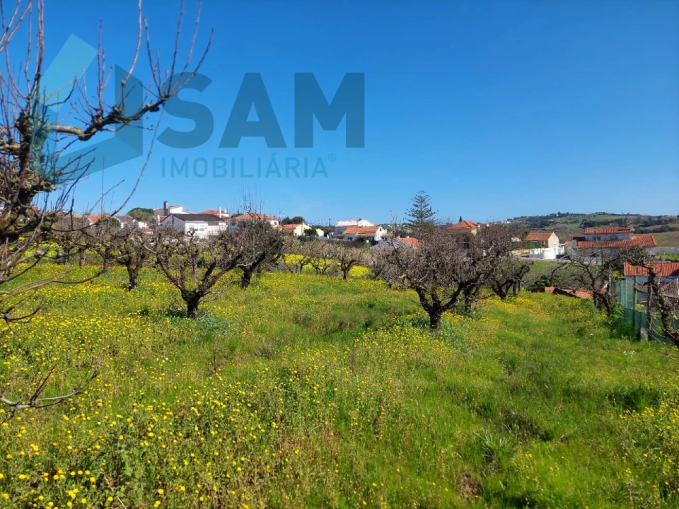 Terreno para Venda em Carvalhal Foto 3