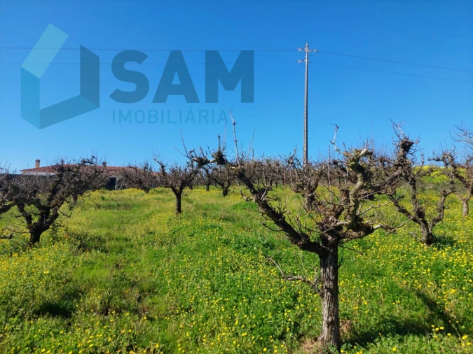 Terreno para Venda em Carvalhal Foto 2