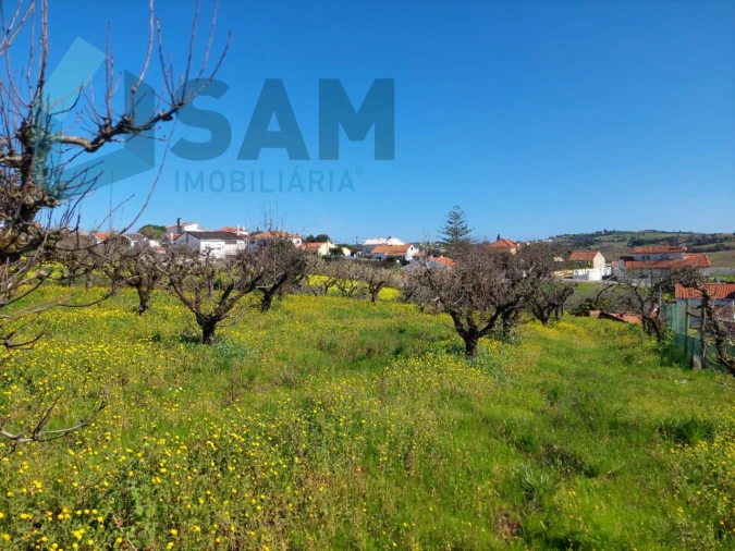 Terreno para Venda em Carvalhal Foto 3