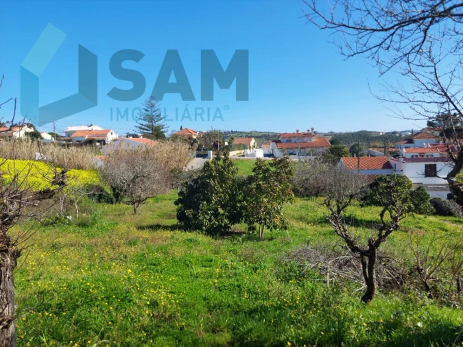 Terreno para Venda em Carvalhal Foto 4