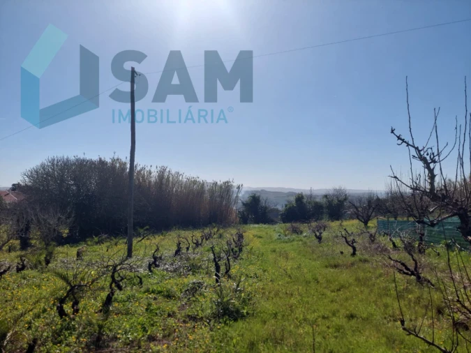 Terreno para Venda em Carvalhal Foto 7