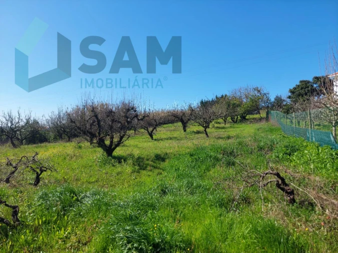 Terreno para Venda em Carvalhal Foto 9