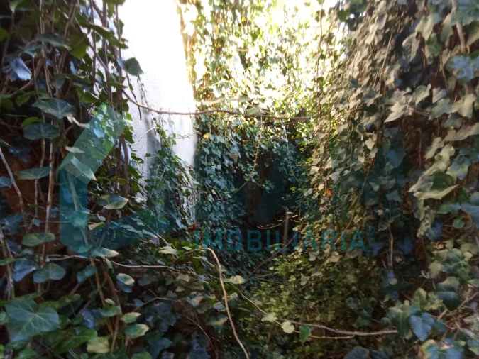 Moradia T2 para Venda em Carvoeira e Carmões Foto 7