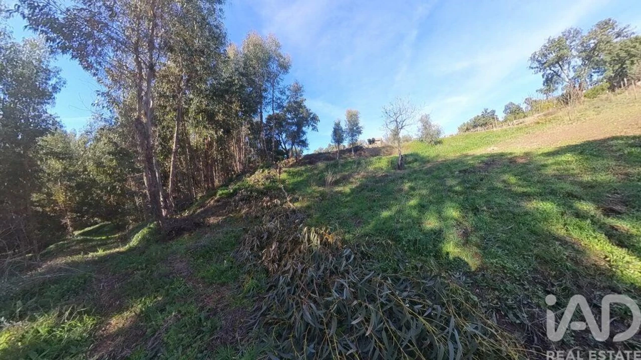 Moradia T2 para Venda em Pedrogão Pequeno Foto 24