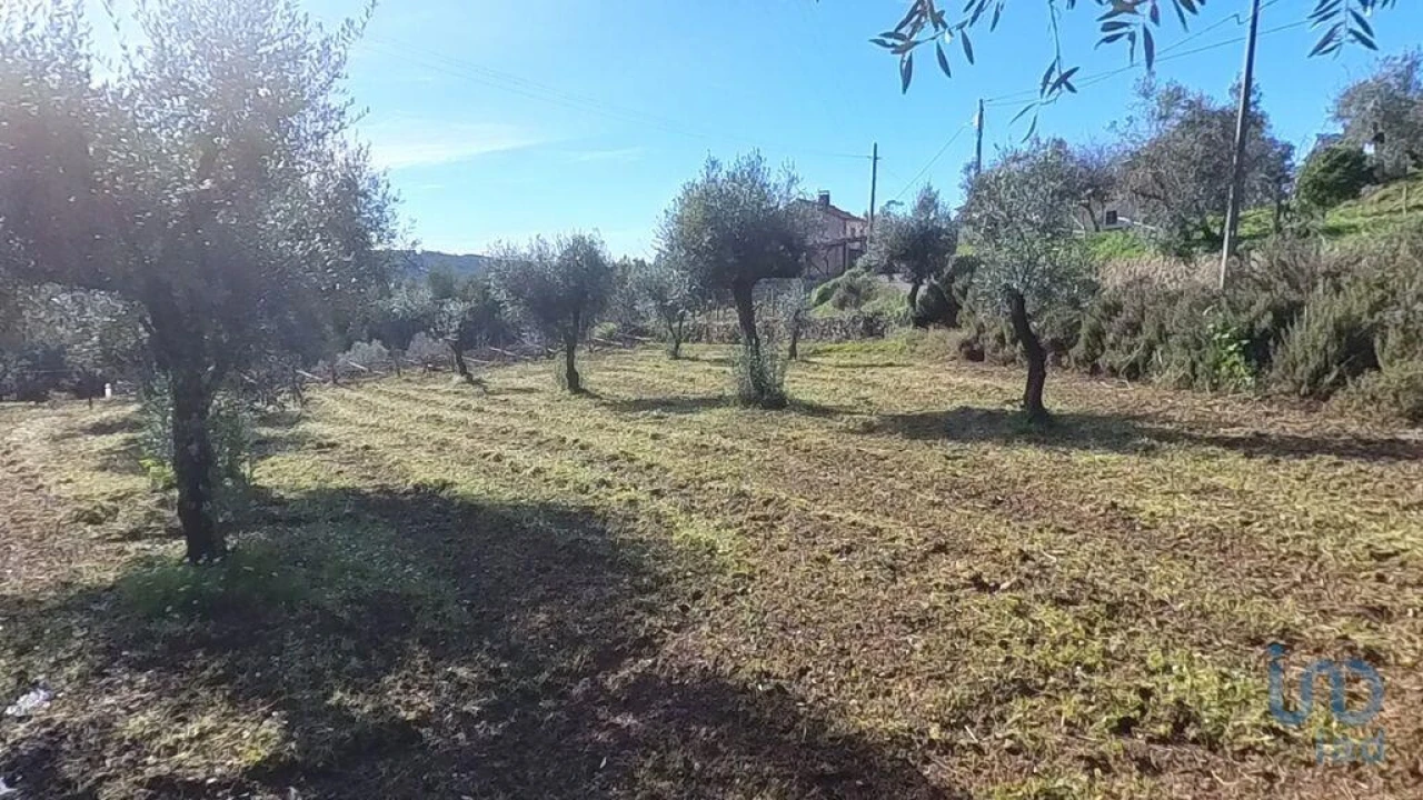 Moradia T2 para Venda em Pedrogão Pequeno Foto 14