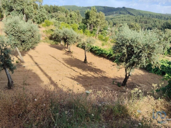 Moradia T2 para Venda em Pedrogão Pequeno Foto 2