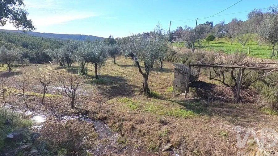 Moradia T2 para Venda em Pedrogão Pequeno Foto 17