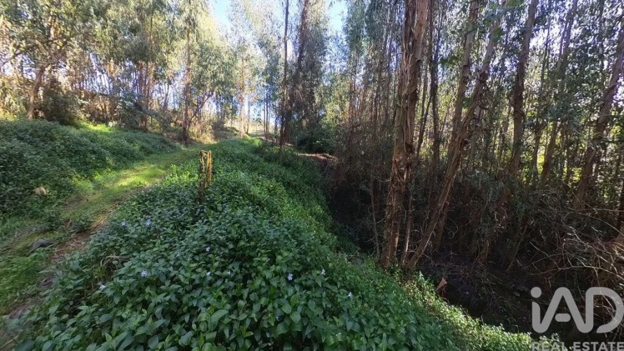 Moradia T2 para Venda em Pedrogão Pequeno Foto 22