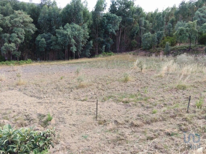 Moradia T2 para Venda em Pedrogão Pequeno Foto 13