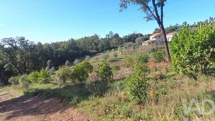 Moradia T2 para Venda em Pedrogão Pequeno Foto 18