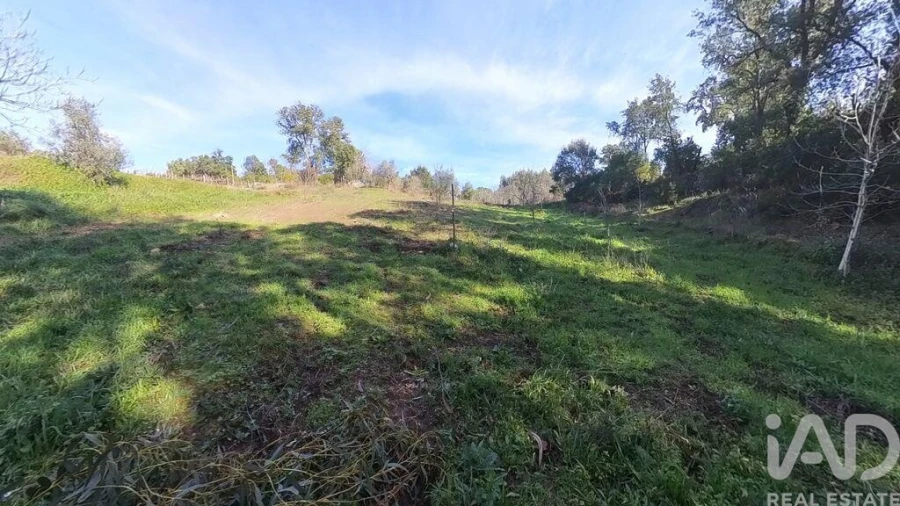 Moradia T2 para Venda em Pedrogão Pequeno Foto 23