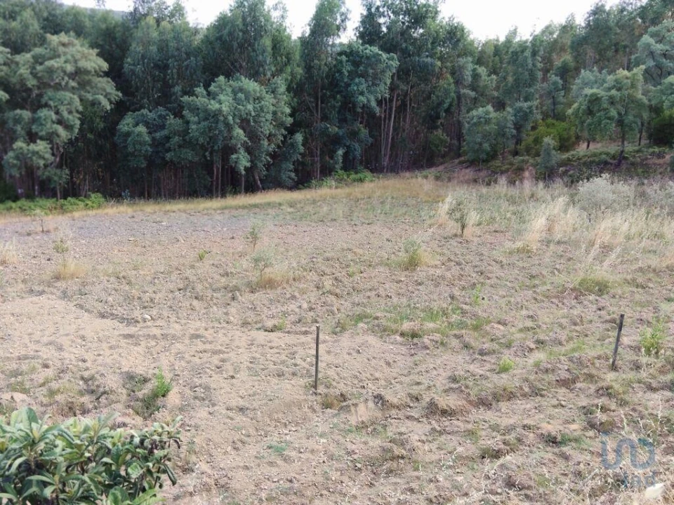 Moradia T2 para Venda em Pedrogão Pequeno Foto 13