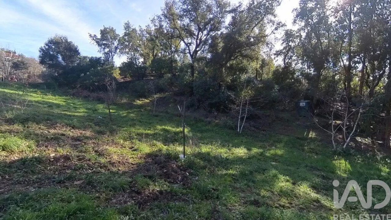 Moradia T2 para Venda em Pedrogão Pequeno Foto 20