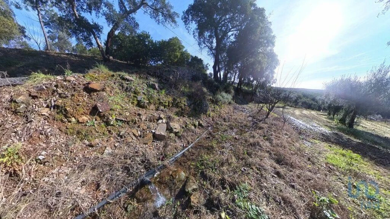 Moradia T2 para Venda em Pedrogão Pequeno Foto 15