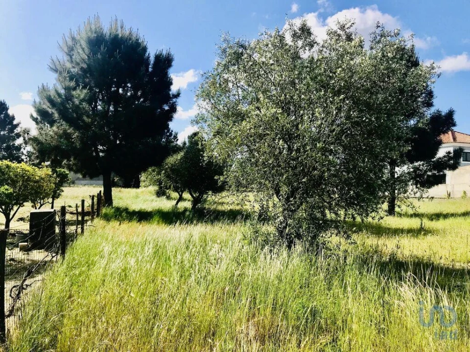 Terreno para Venda em Palmela Foto 6