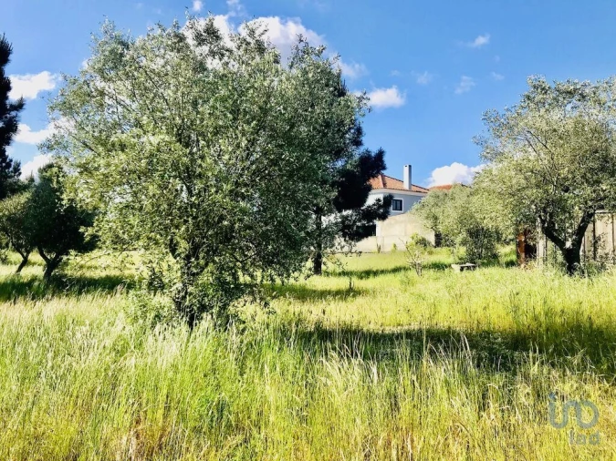 Terreno para Venda em Palmela Foto 7