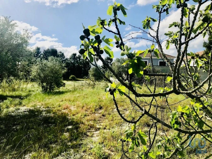 Terreno para Venda em Palmela Foto 4