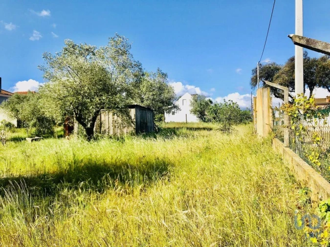 Terreno para Venda em Palmela Foto 9