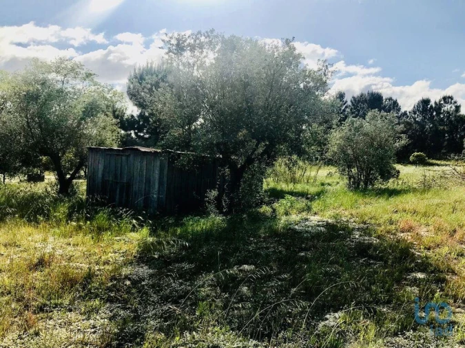 Terreno para Venda em Palmela Foto 11