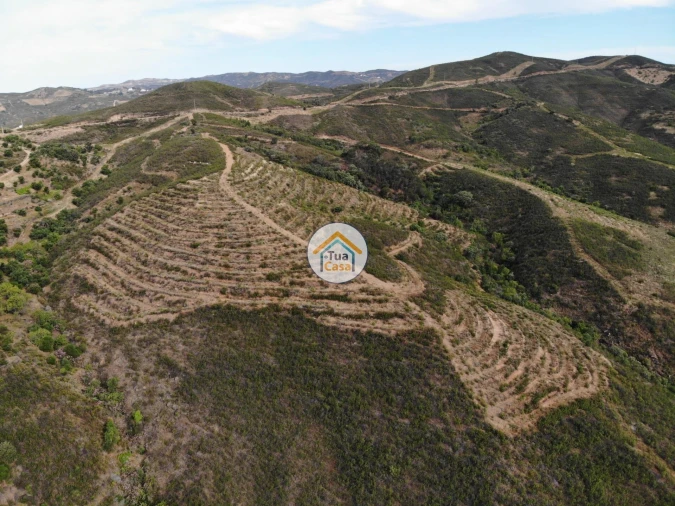 Armazém para Venda em Tavira (Santa Maria e Santiago) Foto 11