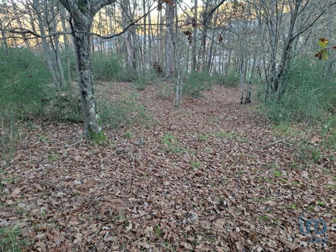 Terreno para Venda em Sande, Vilarinho, Barros e Gomide Foto 4