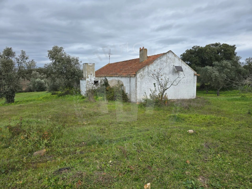 Quinta T3 para Venda em São Domingos e Vale de Água Foto 4