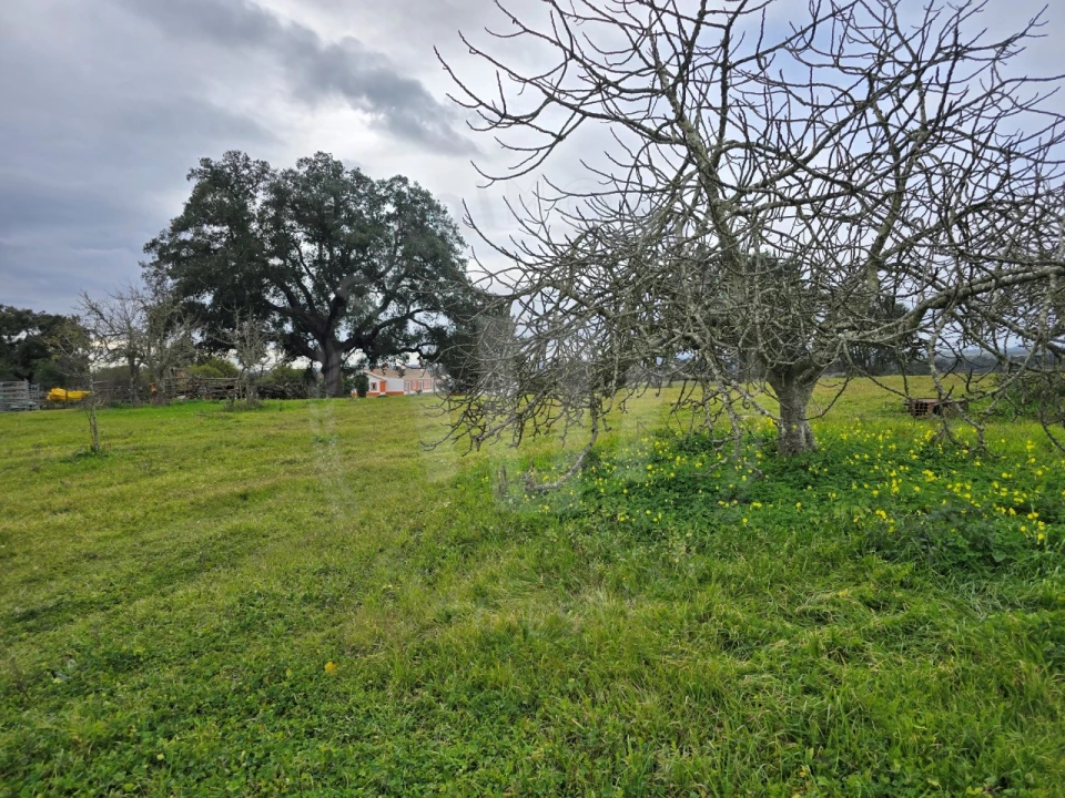 Quinta T3 para Venda em São Domingos e Vale de Água Foto 7