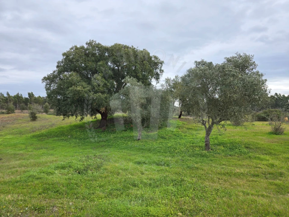 Quinta T3 para Venda em São Domingos e Vale de Água Foto 9