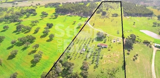 Quinta T3 para Venda em São Domingos e Vale de Água